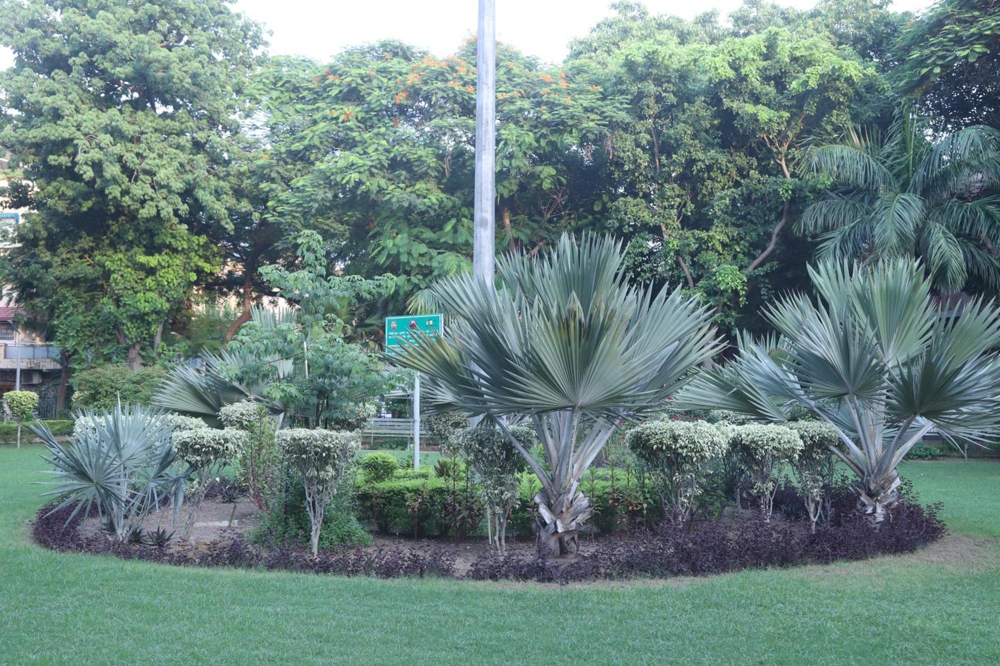 Divine India Service Apartment 3Bhk,B57 Sarita Vihar,Apollo نيودلهي المظهر الخارجي الصورة